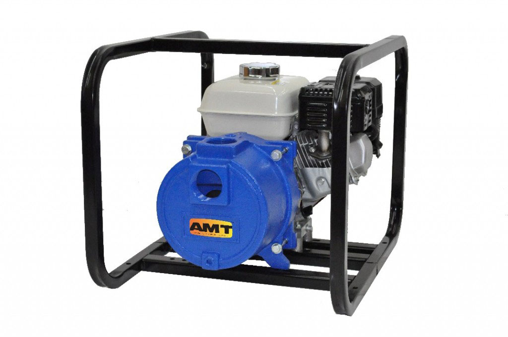 AMT Pump 3152-98 | PumpsForLess.com